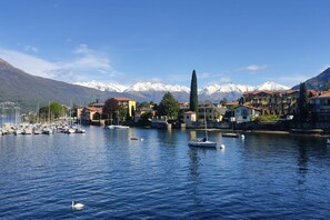 A marina with boats, a swan, and a mountain backdrop.