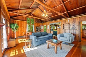 Smart-TV, Kamin, Streaming-Dienste