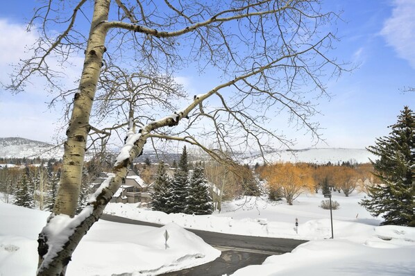 A snowy landscape with a road, trees, and a distant mountain.