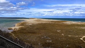 Eine Küstenlandschaft mit Sandstrand und grasbewachsenen Dünen.