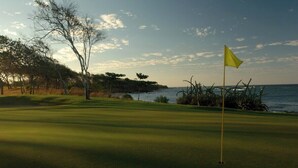 Un parcours de golf avec un drapeau sur le green, des arbres et une étendue d’eau en arrière-plan.