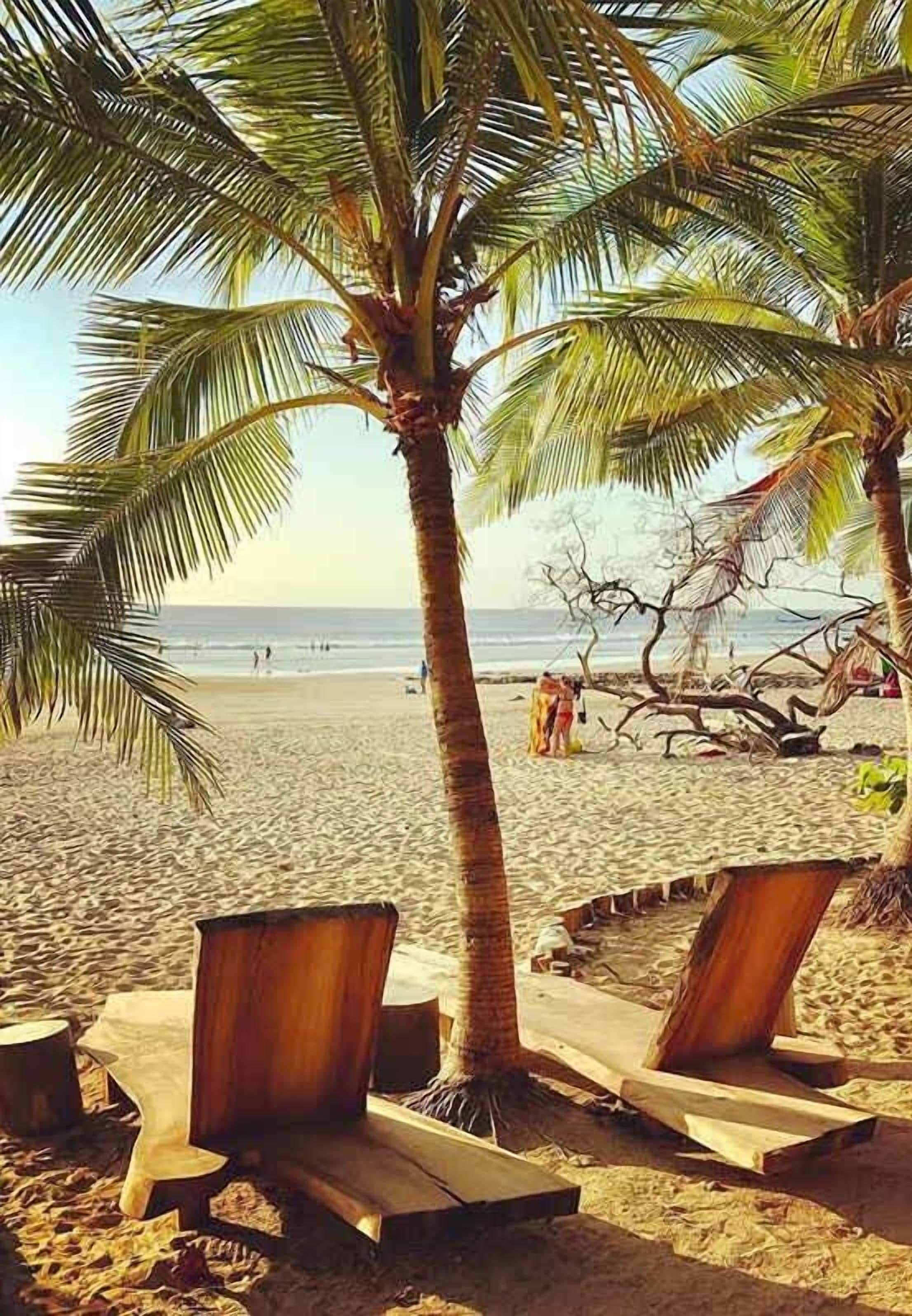 Ein Strand mit Holzliegen, Palmen und freiem Blick auf das Meer.