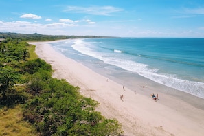 A beach with a clear sky, sandy shore, and greenery.