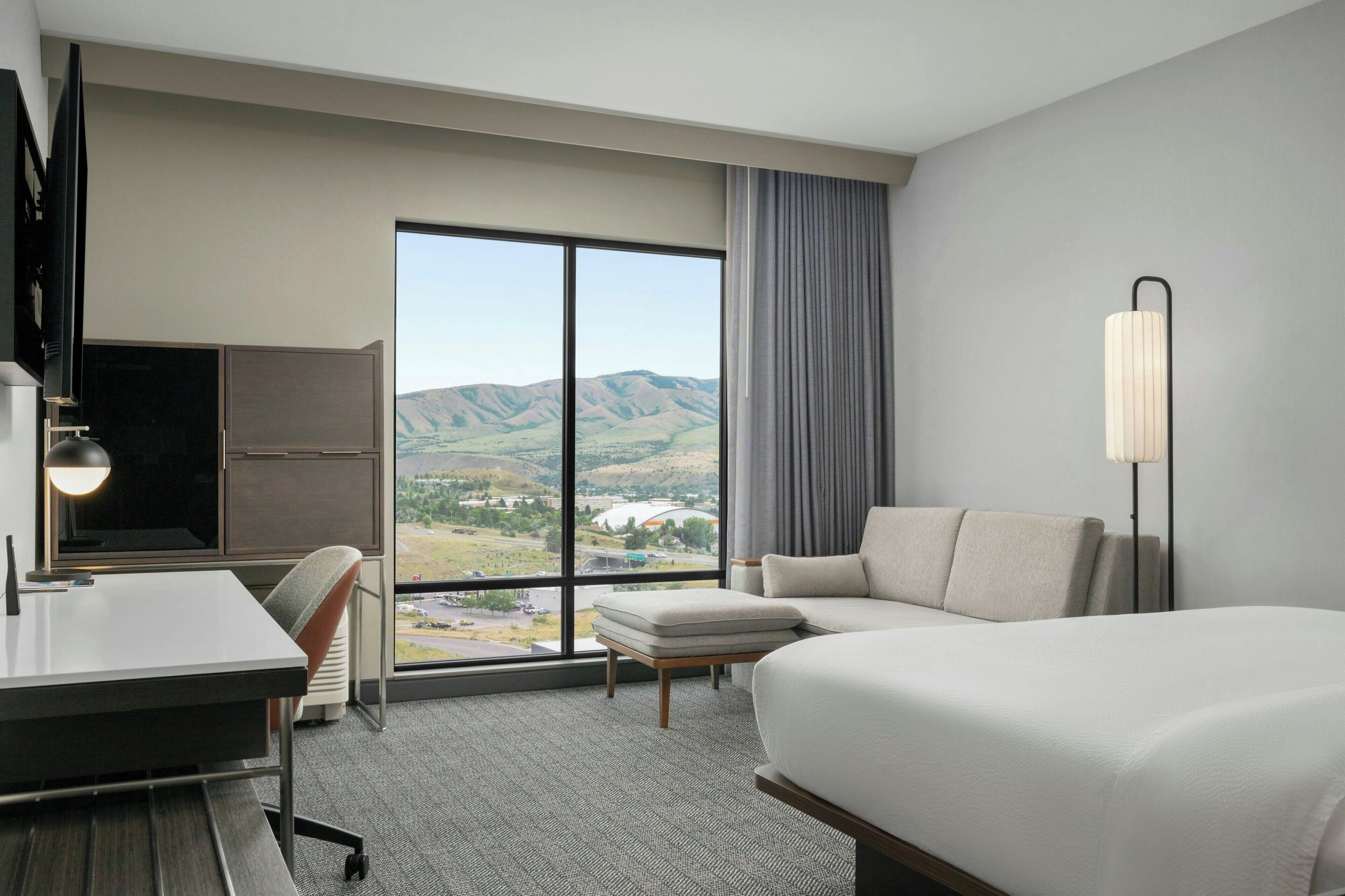 Standard Room, 1 King Bed with Sofa bed