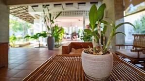 Reception - Amazing Palm Resort (Siem Reap)