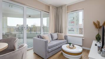 Fernseher, Arbeitsbereiche