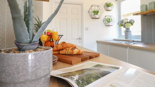 Una encimera de cocina con una planta en maceta, un croissant y una revista.