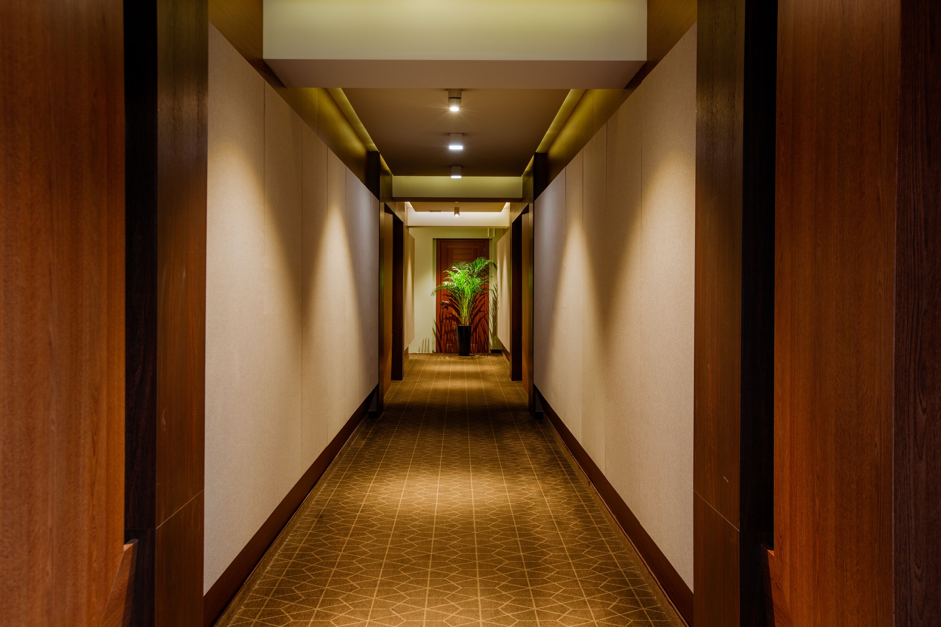 Foto - Golden Palace Hotel