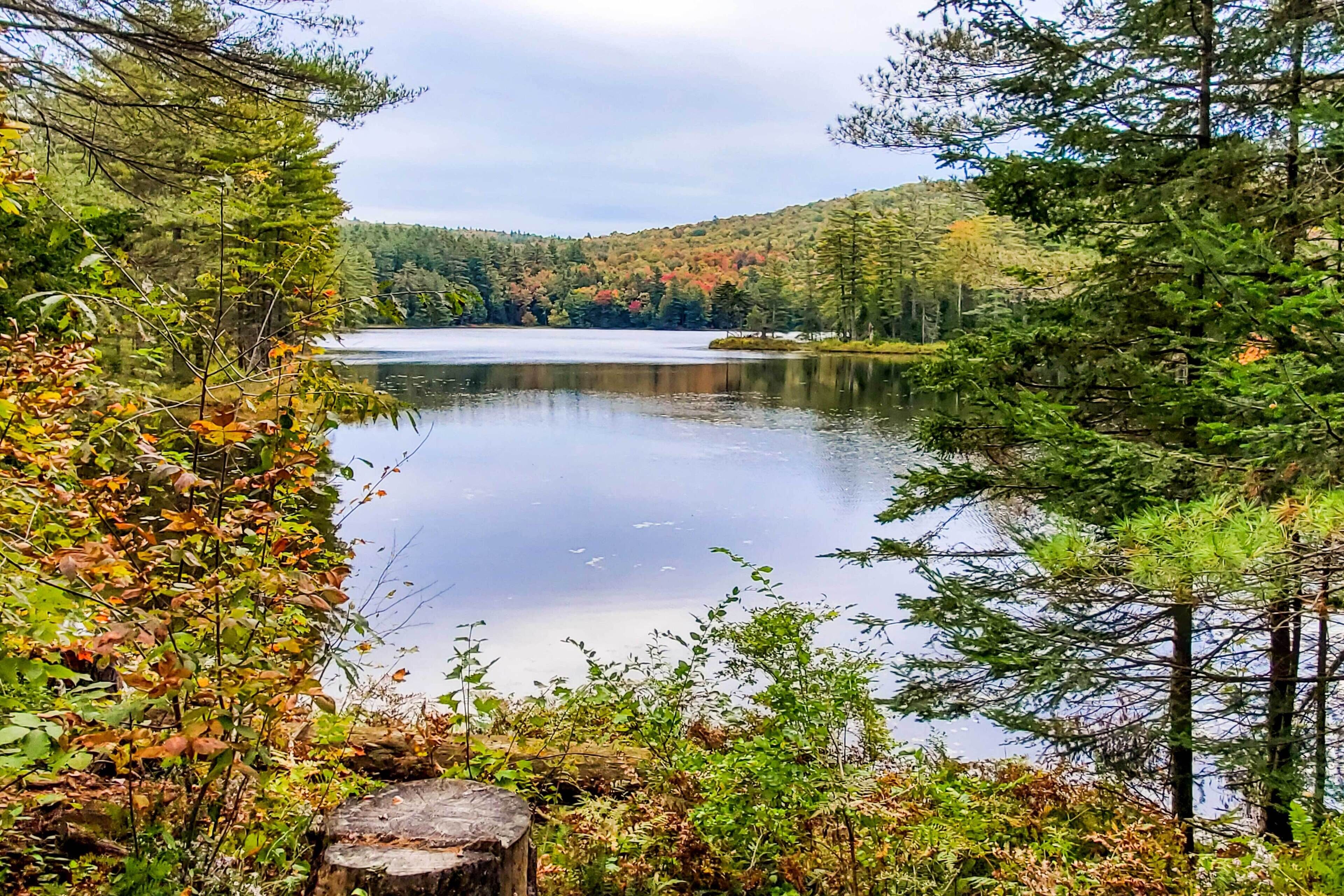 独立别墅 (3 Bedrooms) | 住宿内部
