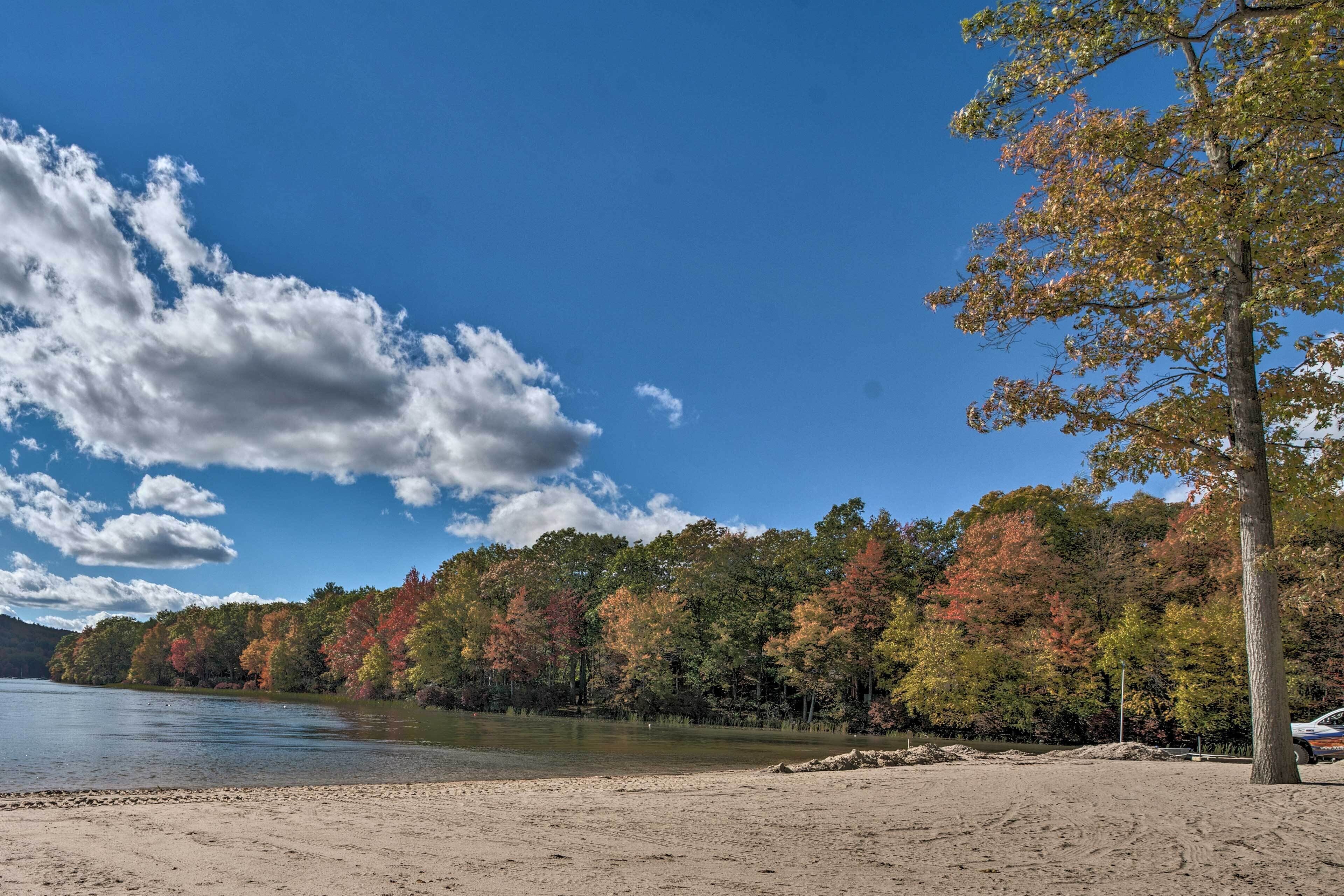 A beach with a sandy shore, a tree, and a lake surrounded by autumn-colored trees.