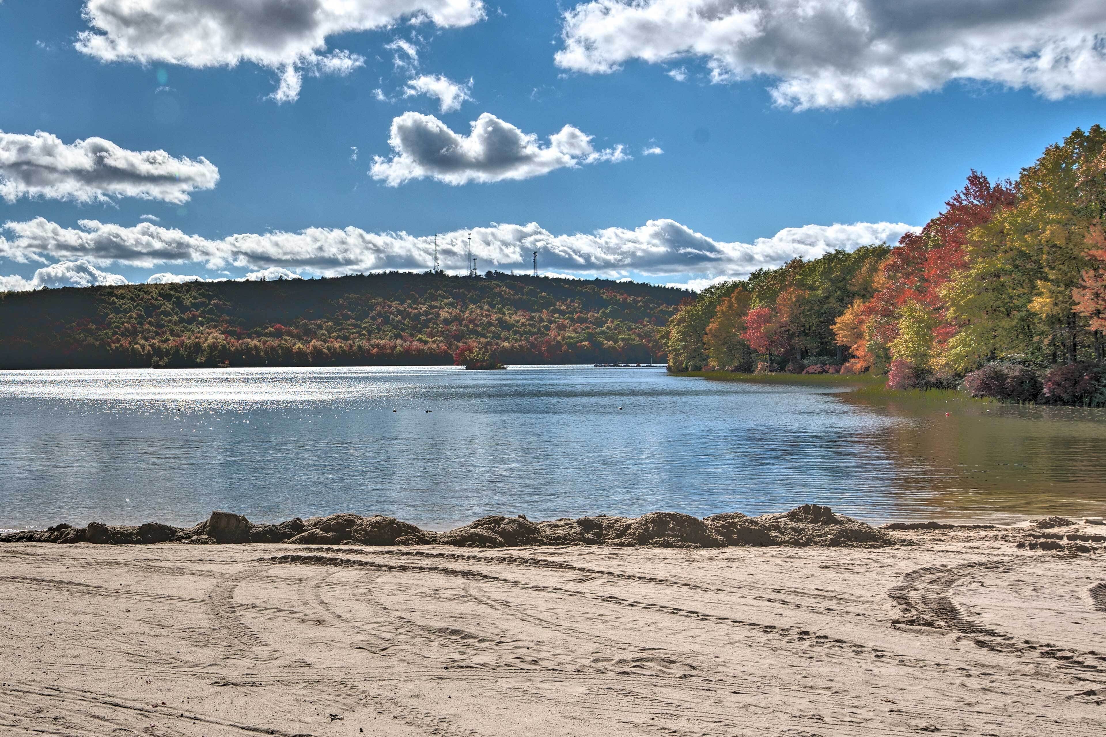 A beach with a clear sky, a lake, and autumn-colored trees.