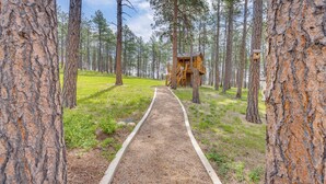 Un sendero en el bosque que lleva a una torre de observación de madera.