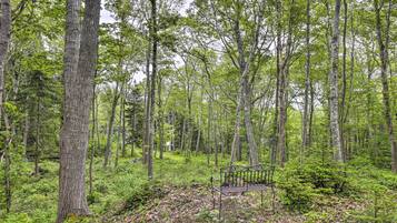 Cottage (1 Bedroom) | Interior