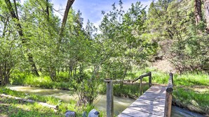 A wooden bridge over a calm stream in a forested area. - Cabin in Beautiful Setting Between Ouray & Ridgway (Ridgway)