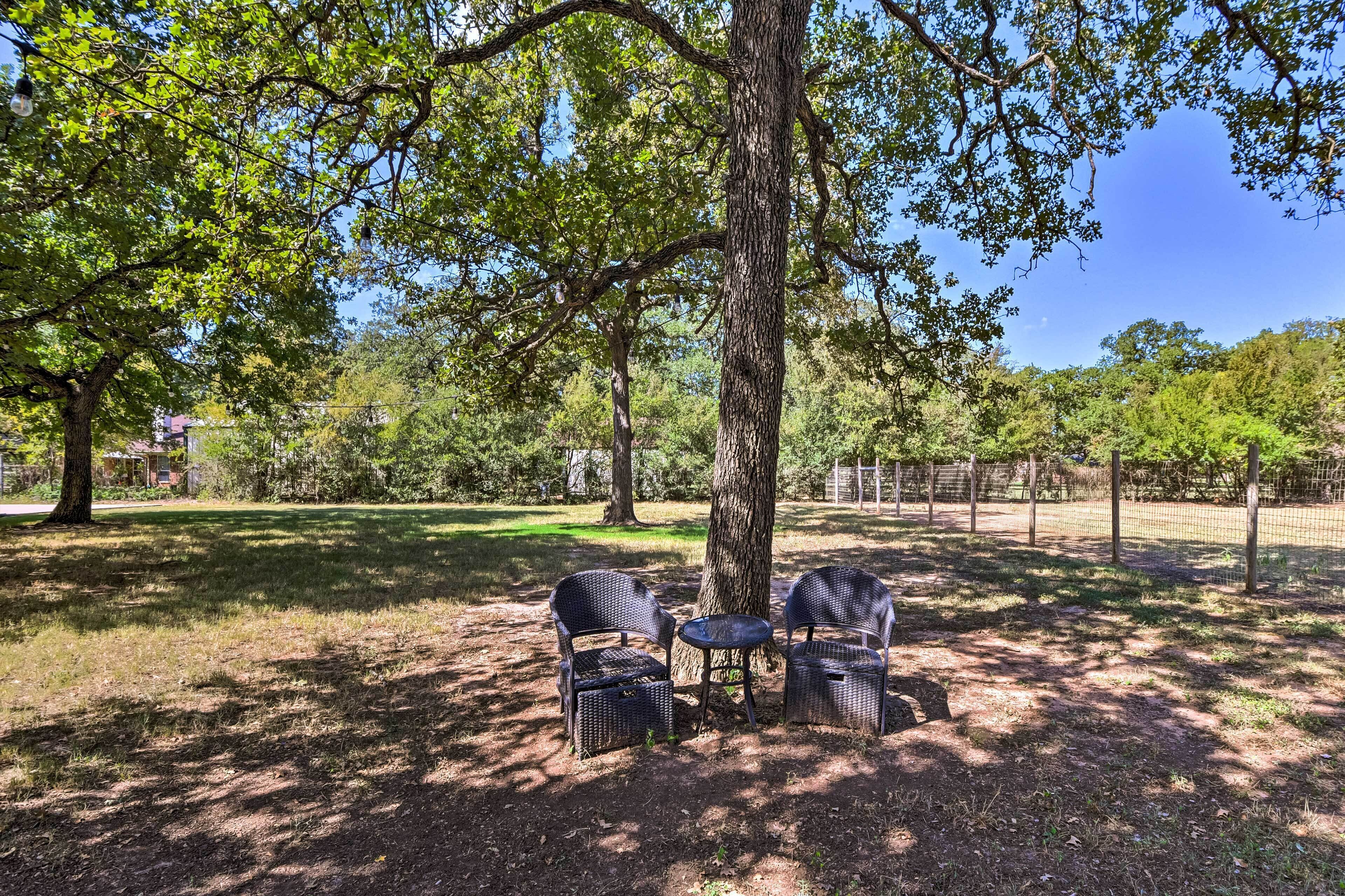 A shaded outdoor seating area with wicker chairs and a small table under a large tree, surrounded by a fenced garden.