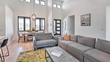 TV, fireplace, books