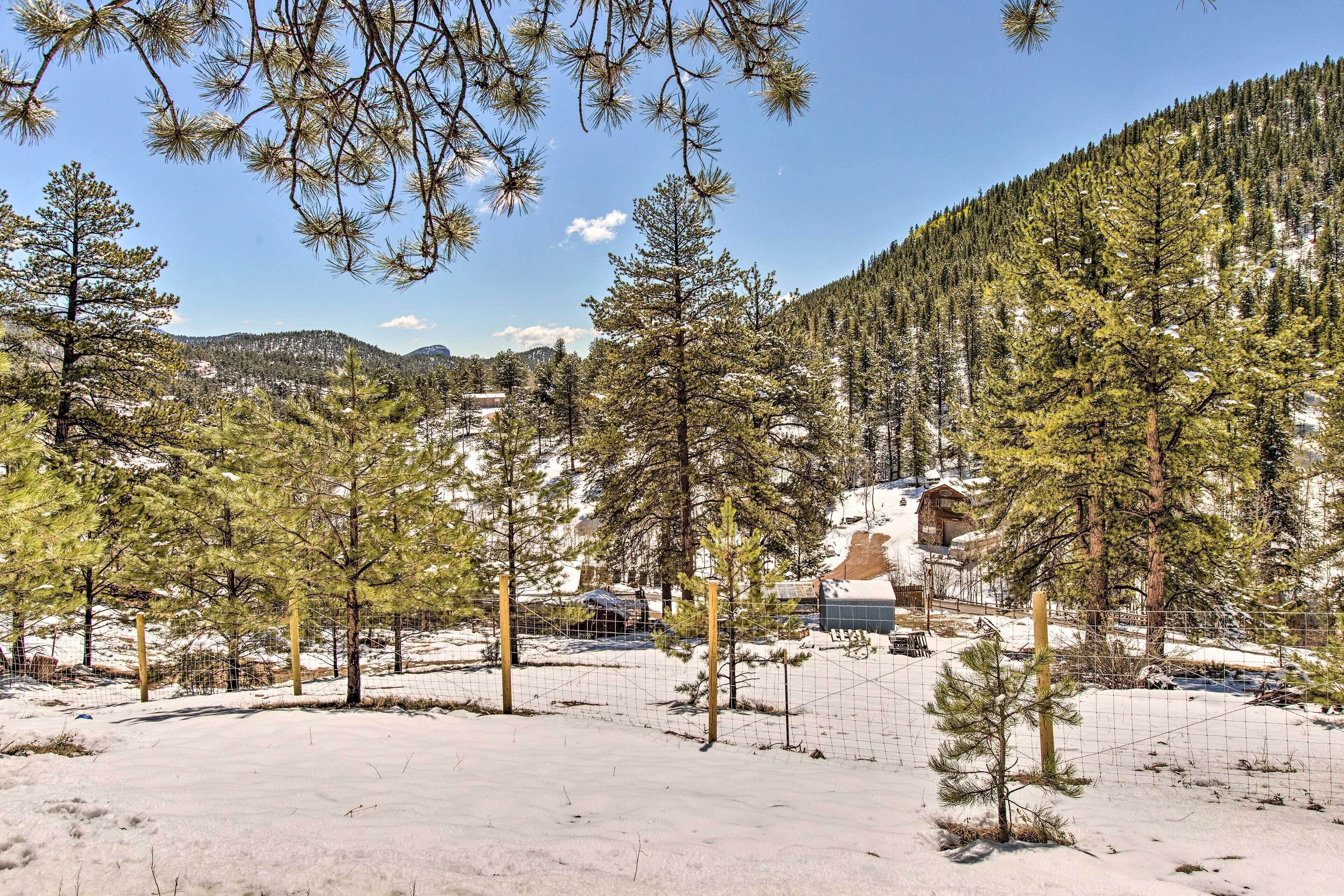 A snowy landscape with pine trees, a wooden cabin, and a fenced area.