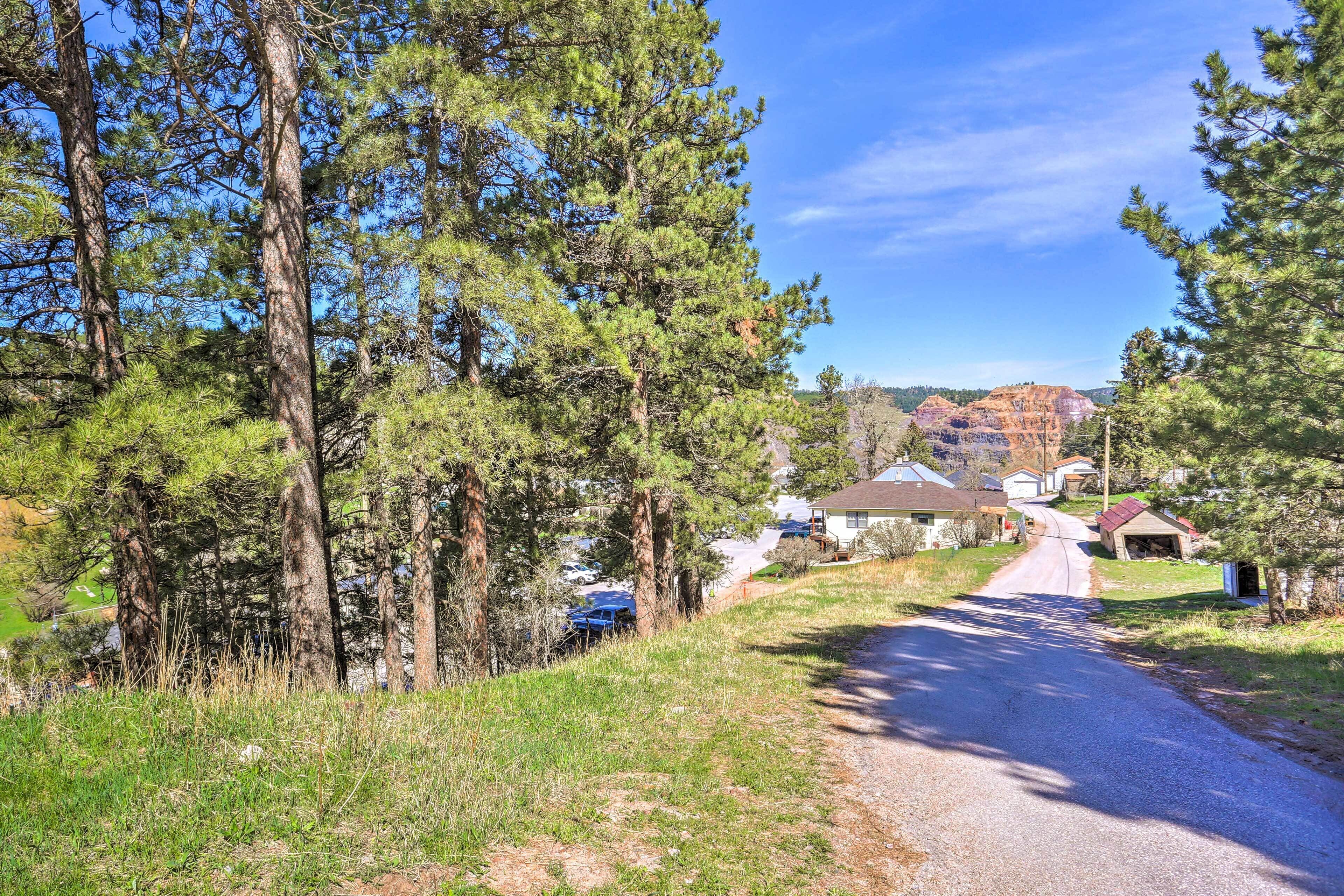 Une route de campagne bordée de grands pins, qui mène à un groupe de maisons, avec un paysage vallonné en arrière-plan.