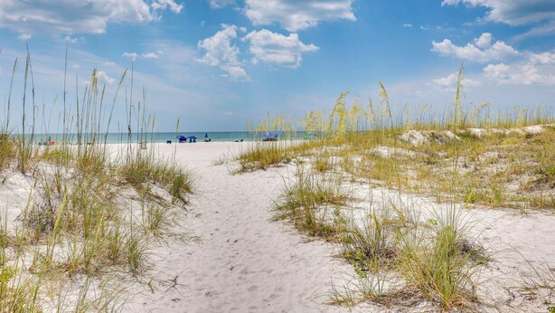 A sandy beach path leading to the sea with sparse vegetation. - Clearwater Beach Hideaway: Walkable Location! (Clearwater Beach)