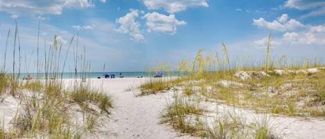 Apartment (4 Bedrooms) | Interior