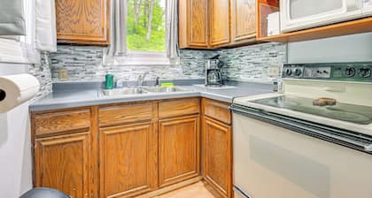 Lakefront Cabin w/ Fire Pit, Dock, & Boat Rental