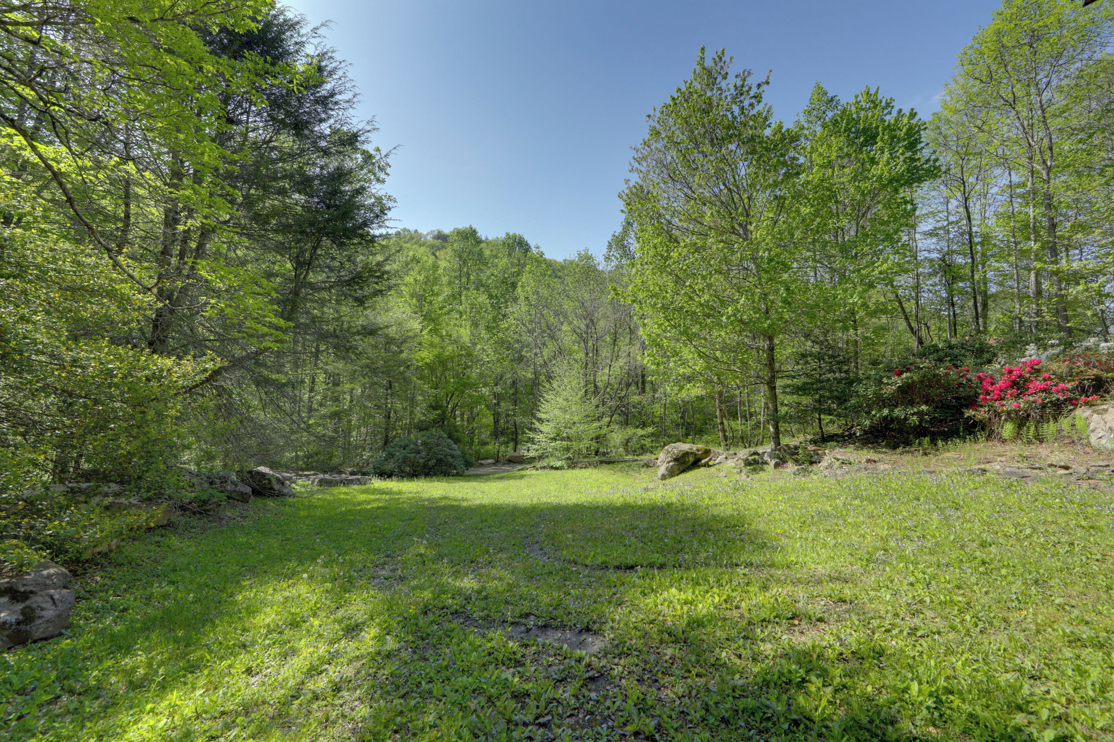A forested area with a grassy clearing, trees, and a rock formation.
