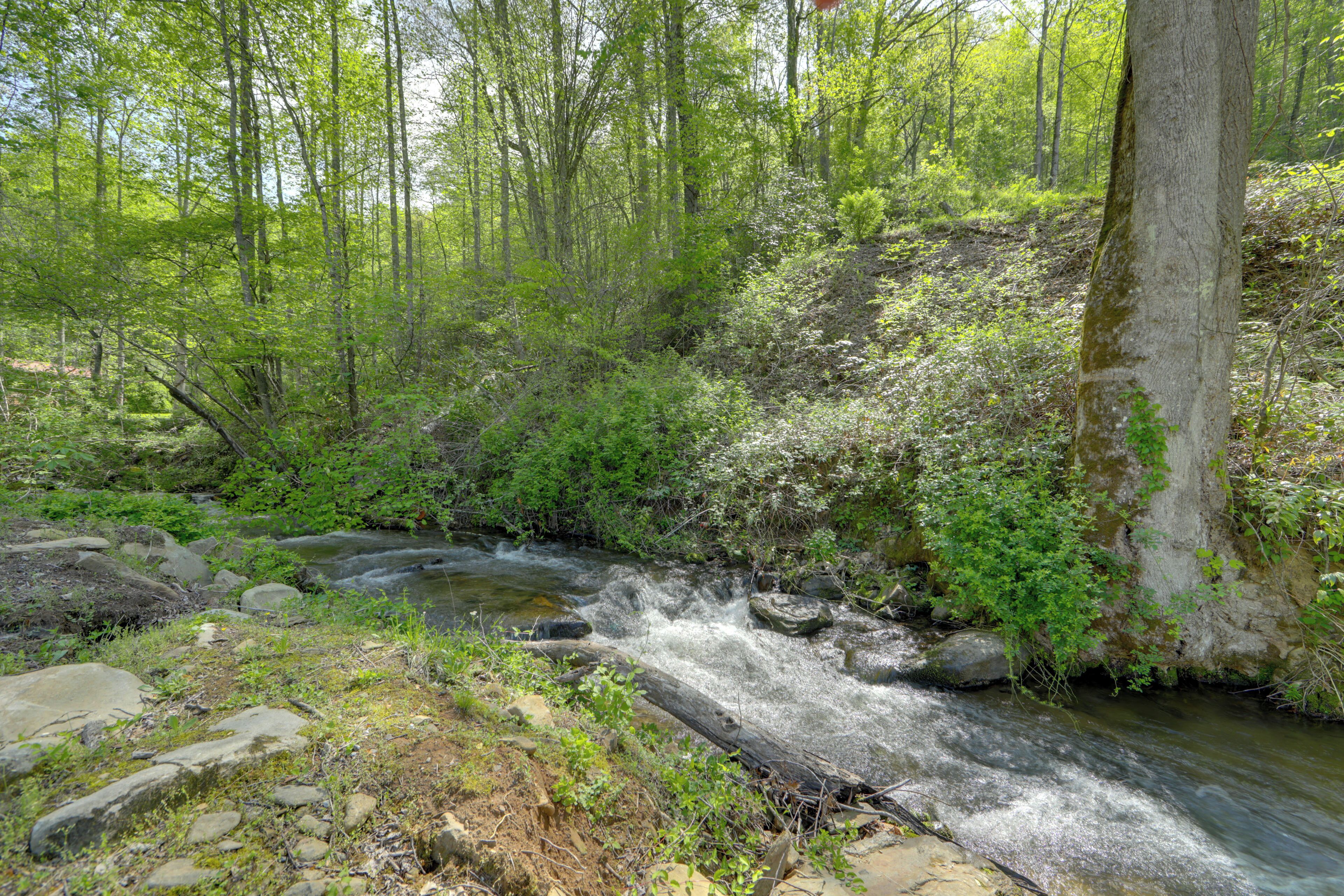 A natural stream flowing through a forested area with rocks and vegetation.