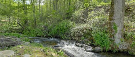 A natural stream flowing through a forested area with rocks and vegetation.