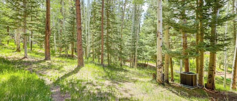 Nhà (4 Bedrooms) | Nội thất