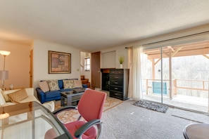 TV, fireplace, books