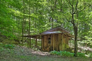 House (3 Bedrooms) | Interior - The Bird Sanctuary Fire Pit, Gas Grill & Hammock (Boone)