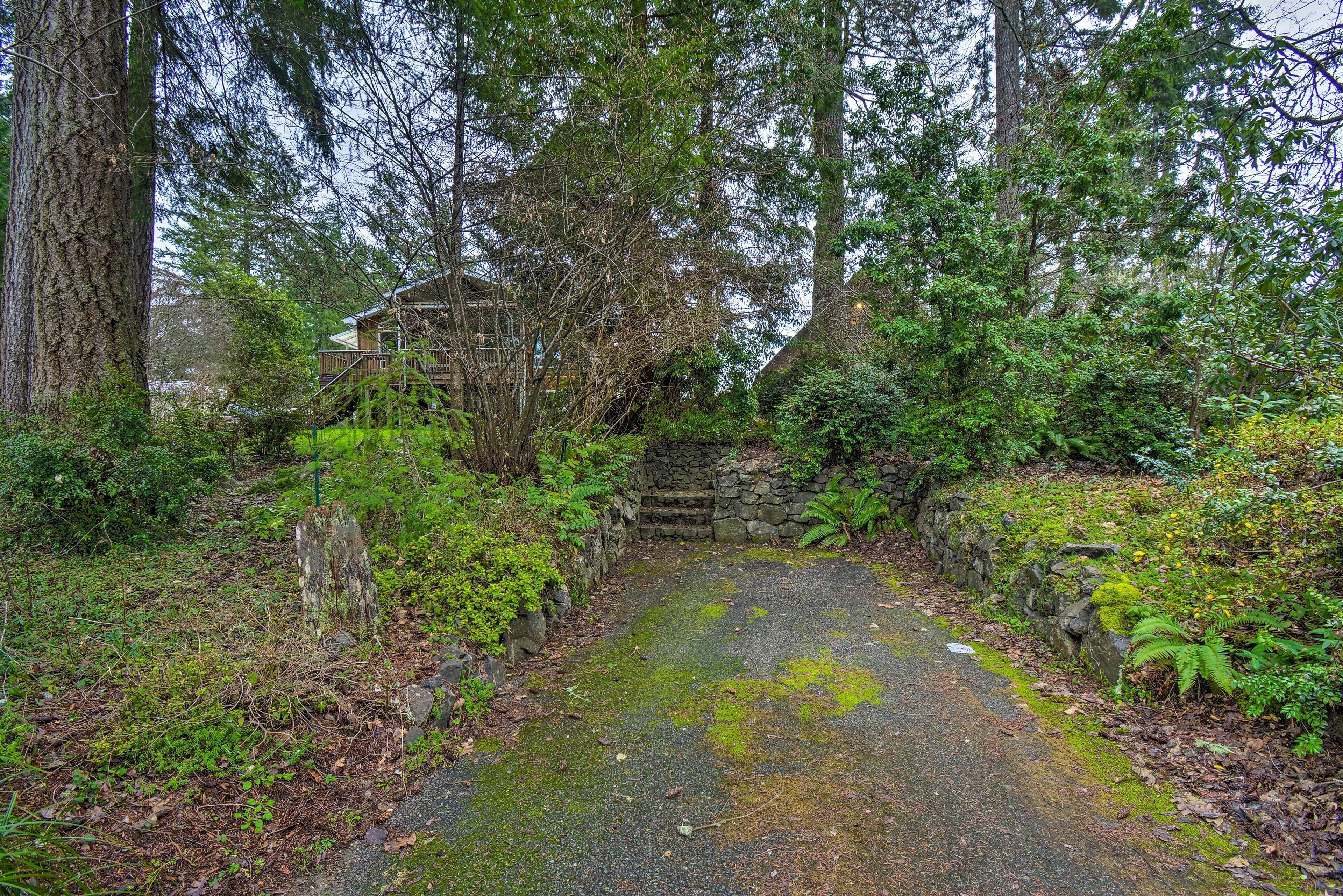 A narrow, moss-covered path leading to a rustic wooden structure surrounded by dense forest.