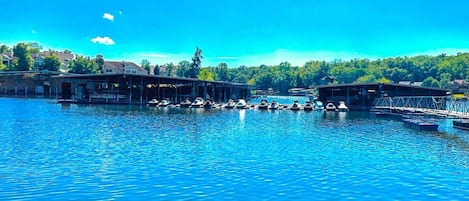 アパートメント (4 Bedrooms) | 内装