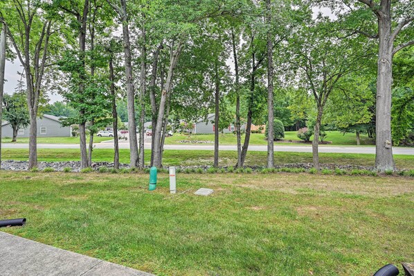 A grassy area with trees and a road in the background.