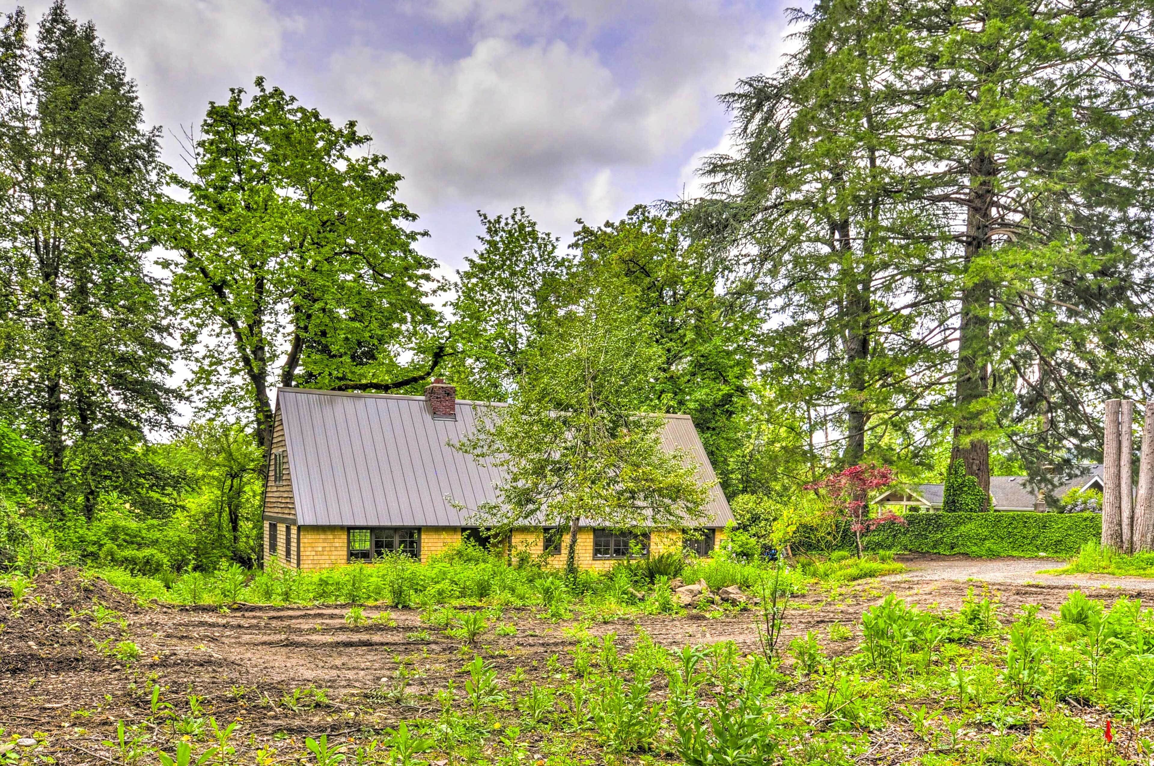 A rustic house surrounded by dense greenery and trees.