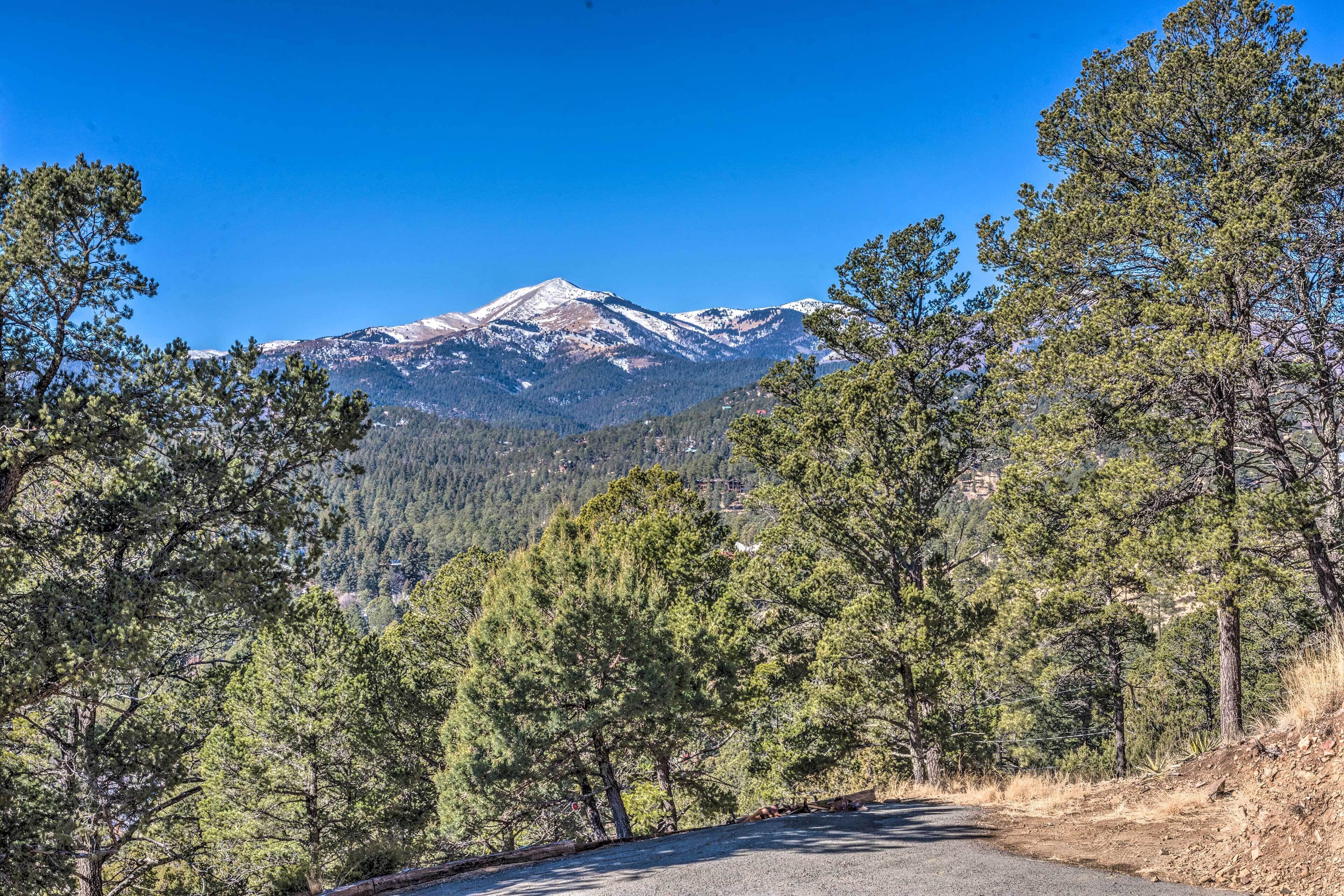 A road leading to a mountain with snow-capped peaks, surrounded by dense pine trees.