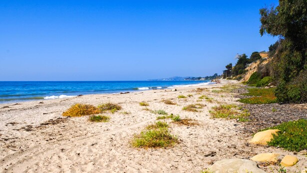 A sandy beach with scattered rocks and sparse vegetation, overlooking the ocean.