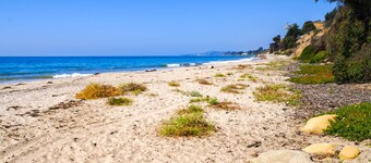 Cozy Cali Condo, Walk to Summerland Beach!