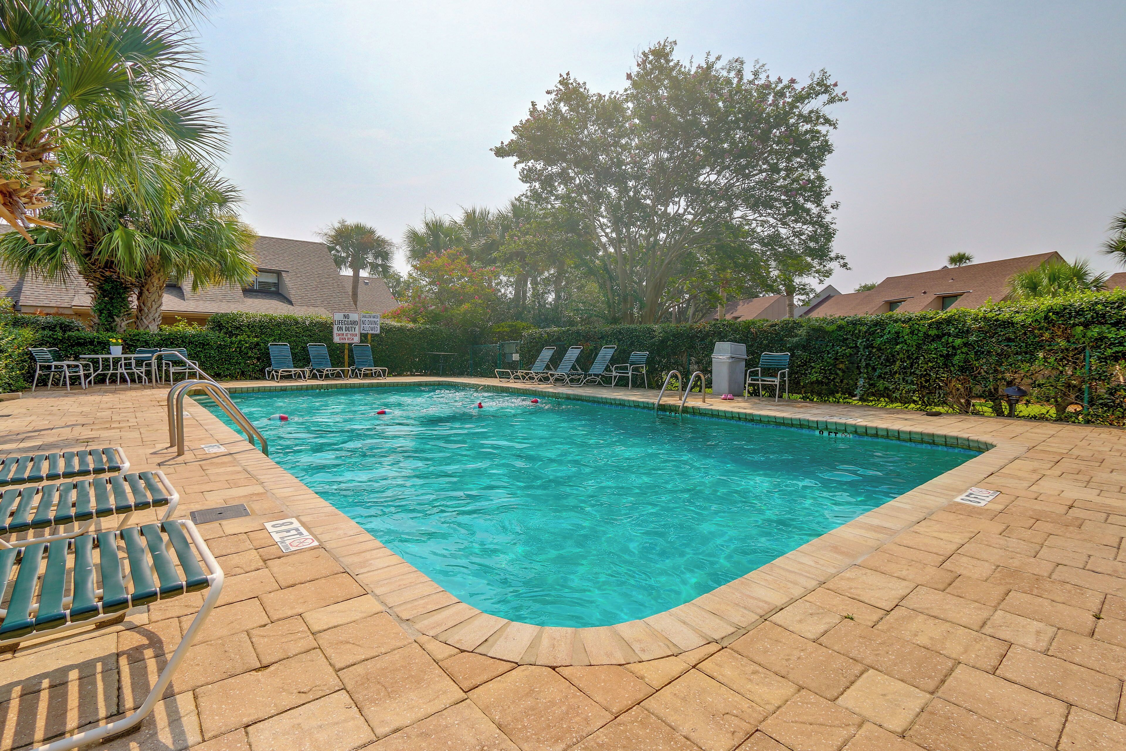 Una piscina rectangular con bordeado de baldosas, rodeada de sillas de descanso y una palmera.