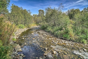 A clear stream with rocks and surrounded by dense greenery. - Secluded Getaway w/ Deck, Steps to Fritz Creek! (Homer)