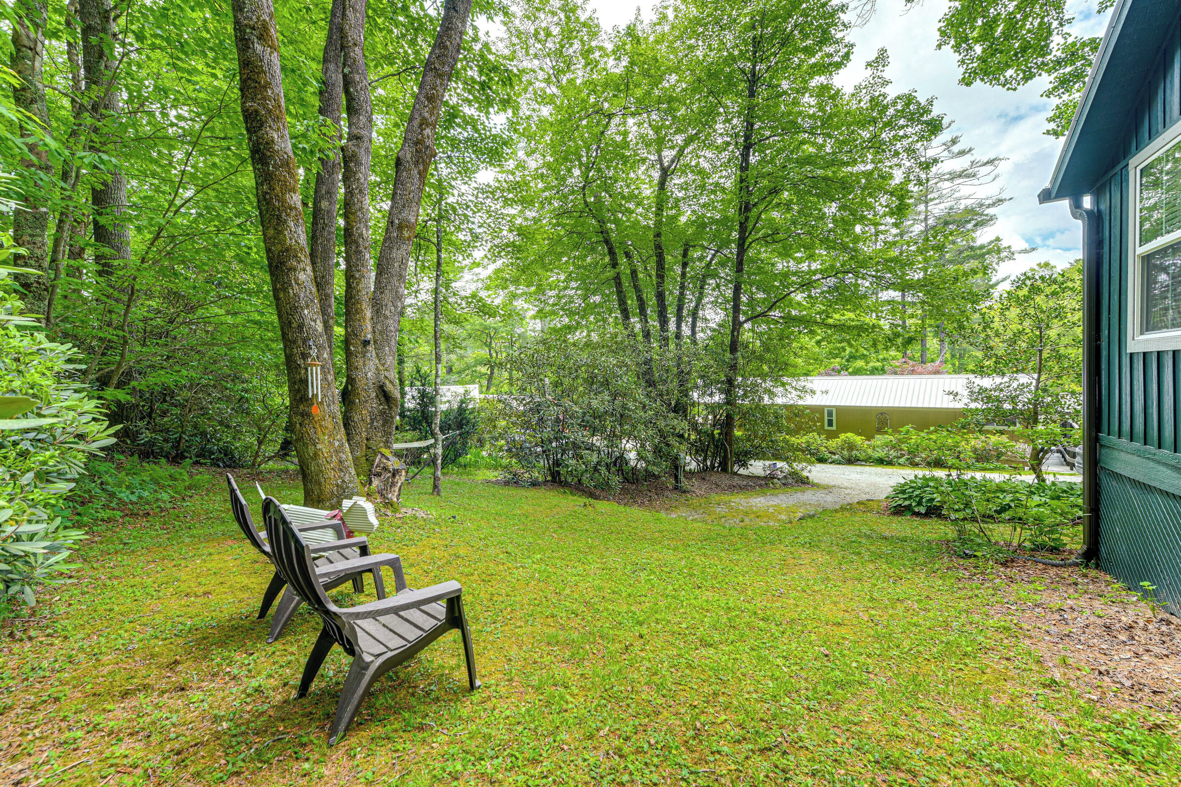 Un espace extérieur verdoyant avec un banc et des arbres.