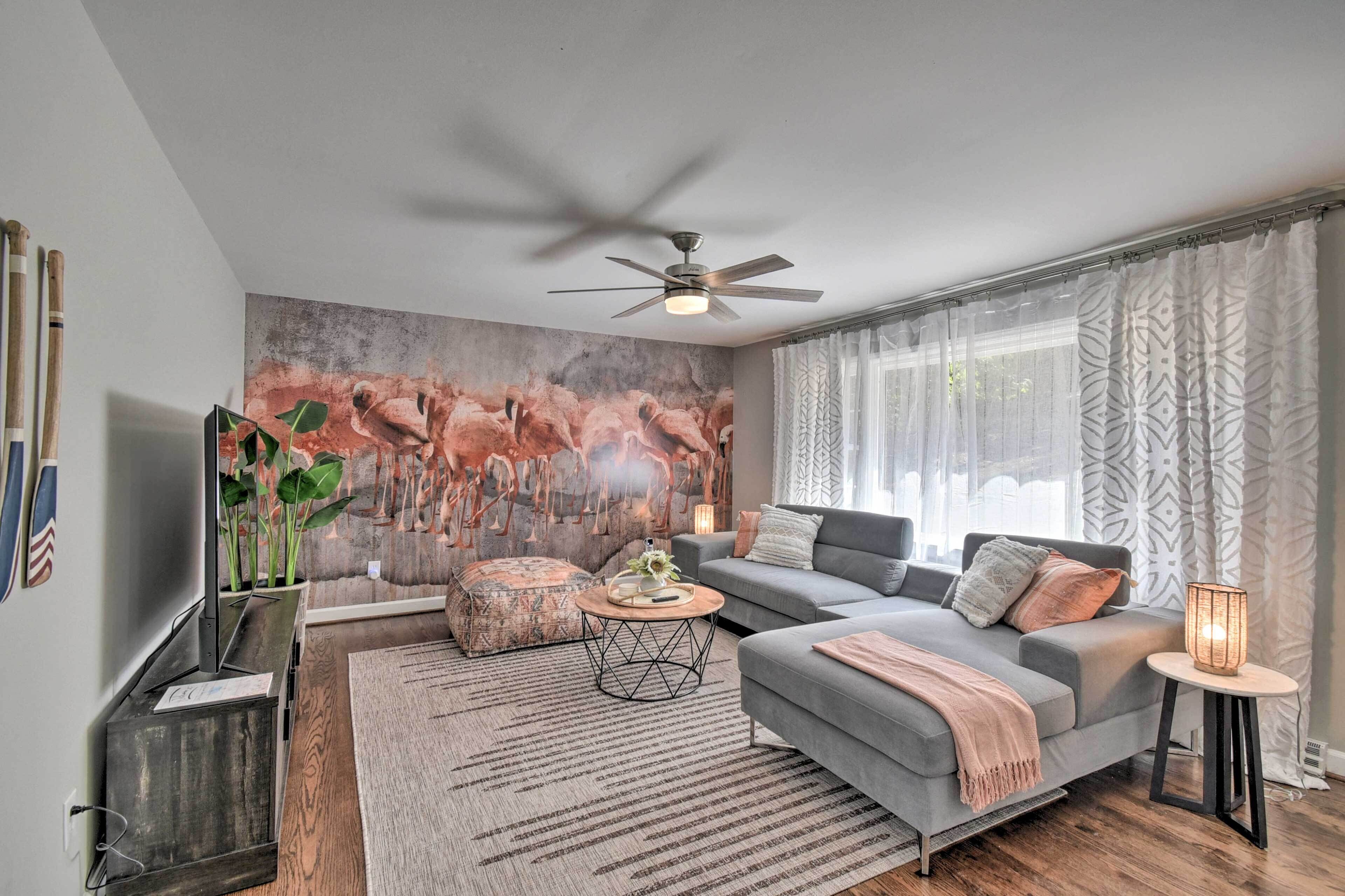 TV, bàn bóng bàn, sách 