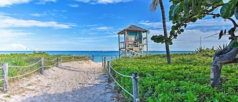 Appartement (0 Bedroom) | Intérieur