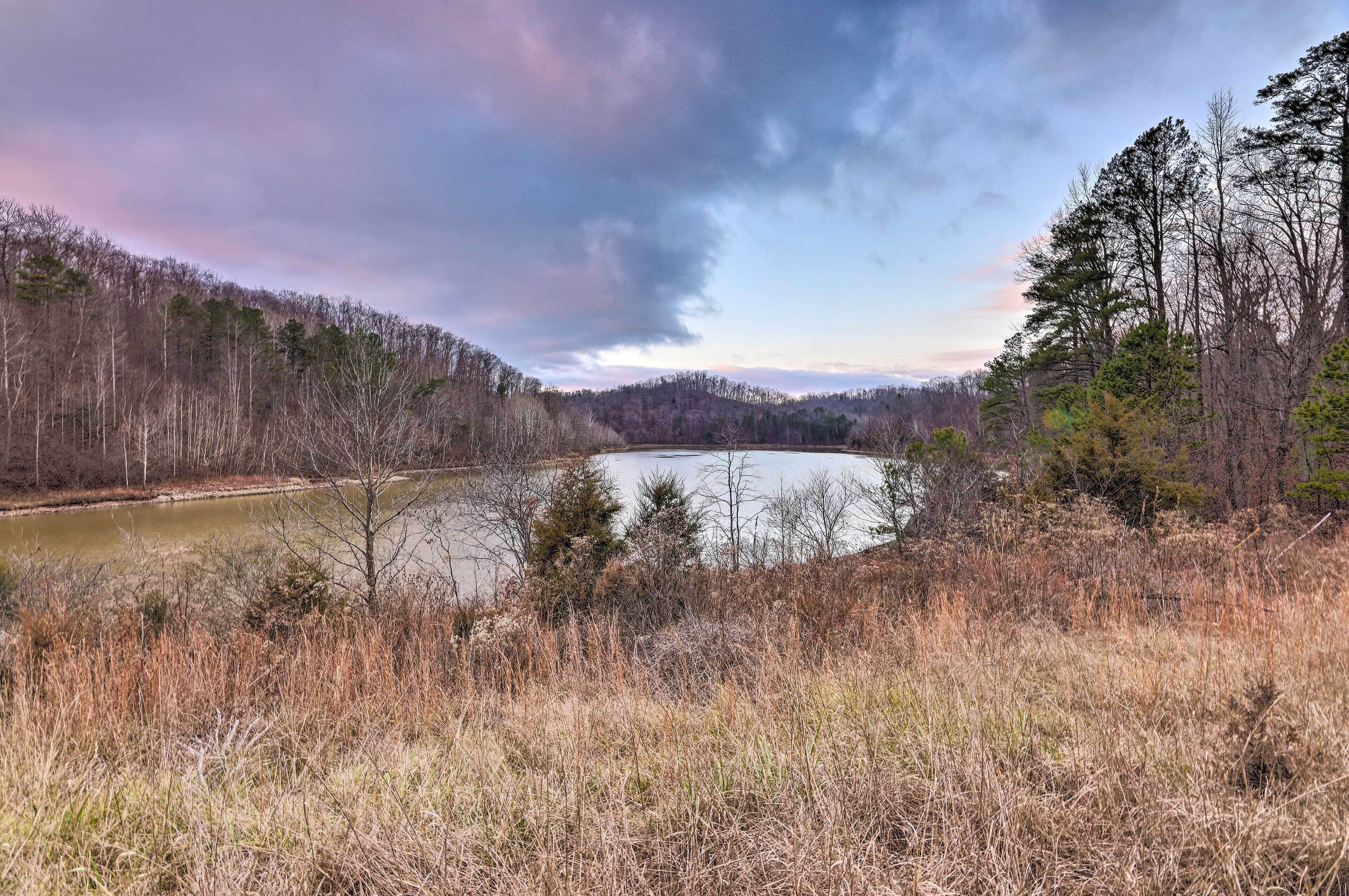 A natural landscape with a body of water, trees, and a cloudy sky.