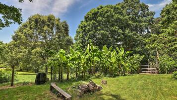 Căn hộ (1 Bedroom) | Nội thất