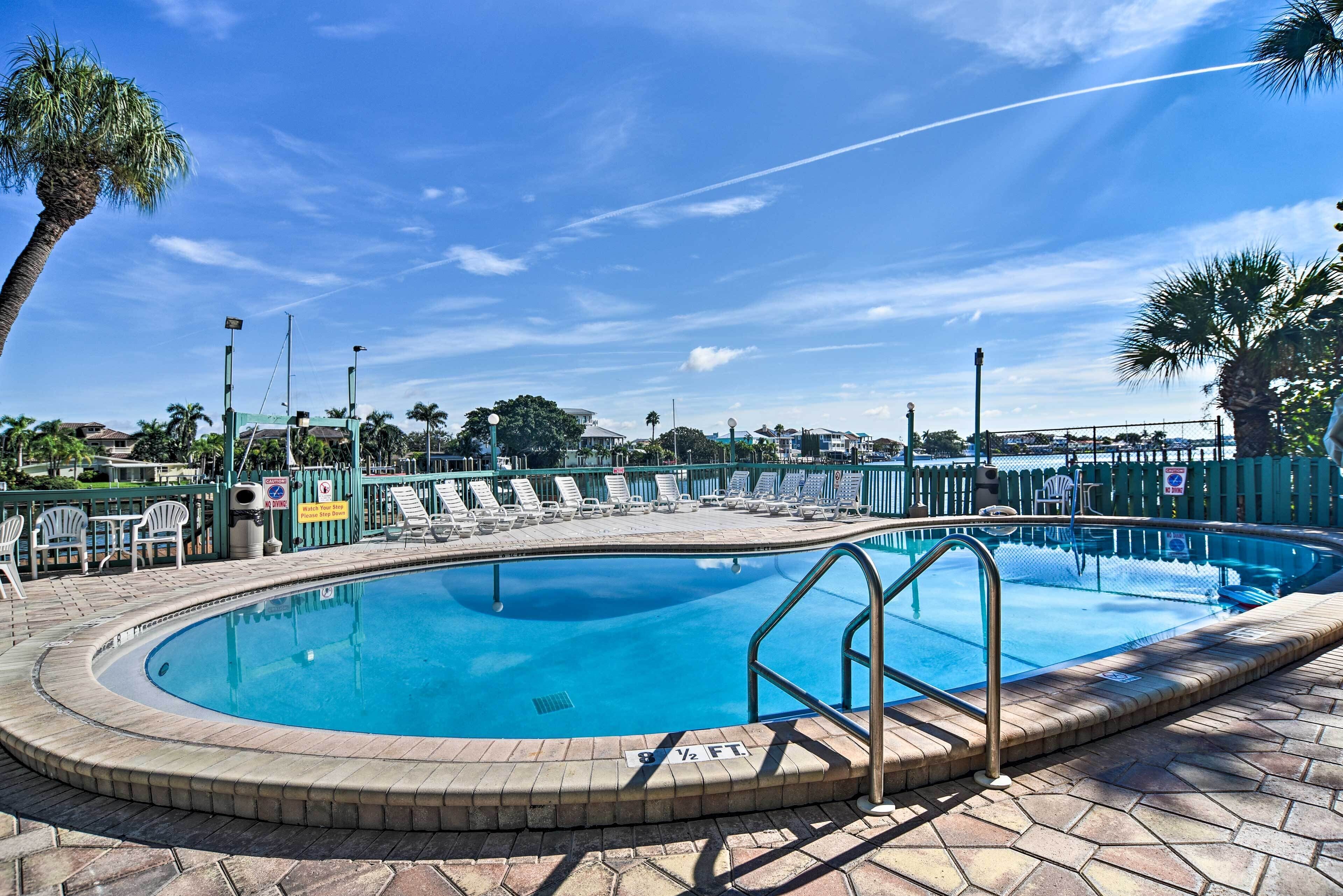 A swimming pool with a brick border, lounge chairs, and palm trees.