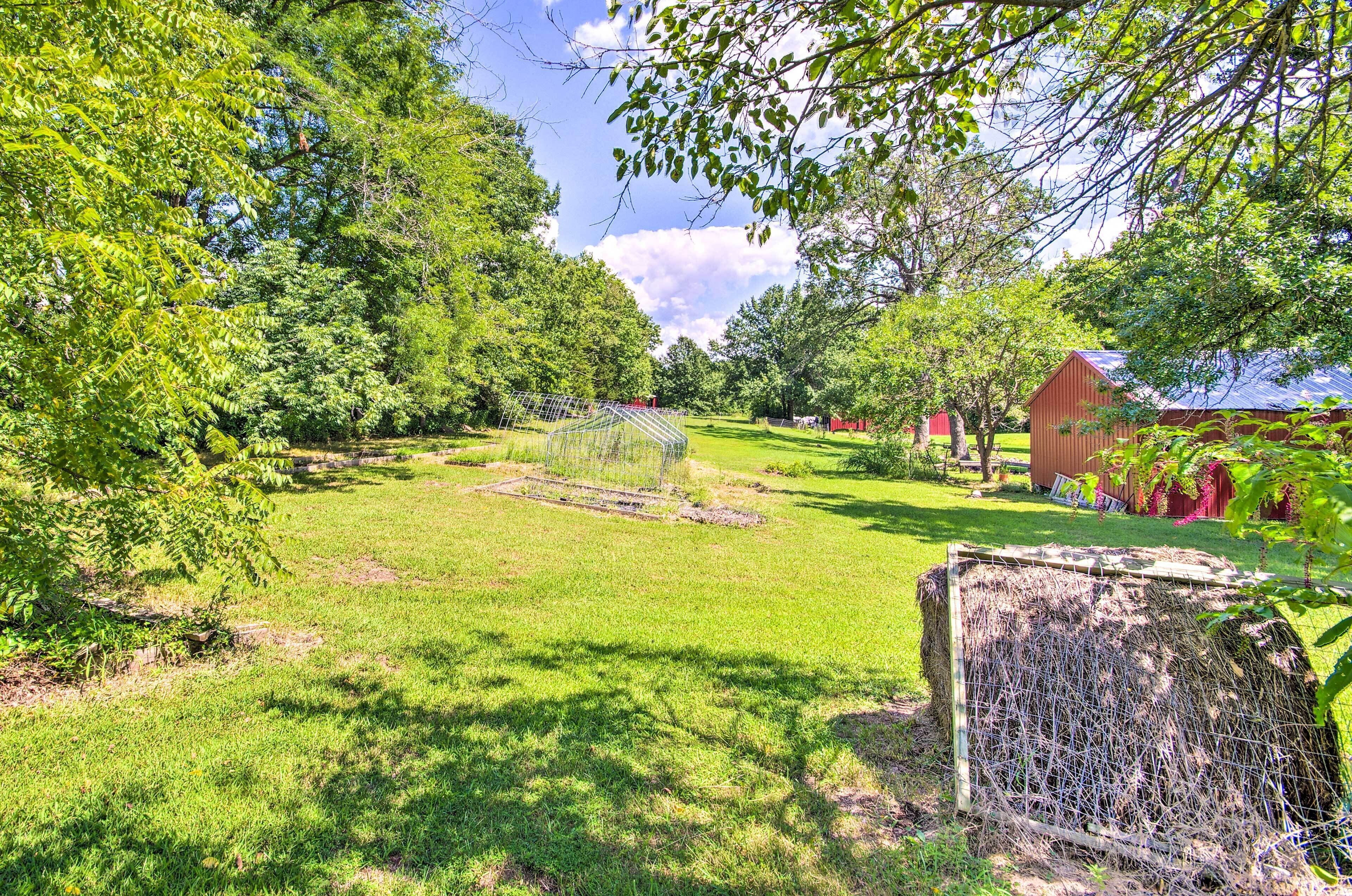 Cottage (3 Bedrooms) | Nội thất