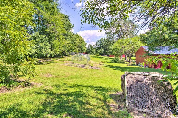 Ferienhaus (3 Bedrooms) | Innenbereich