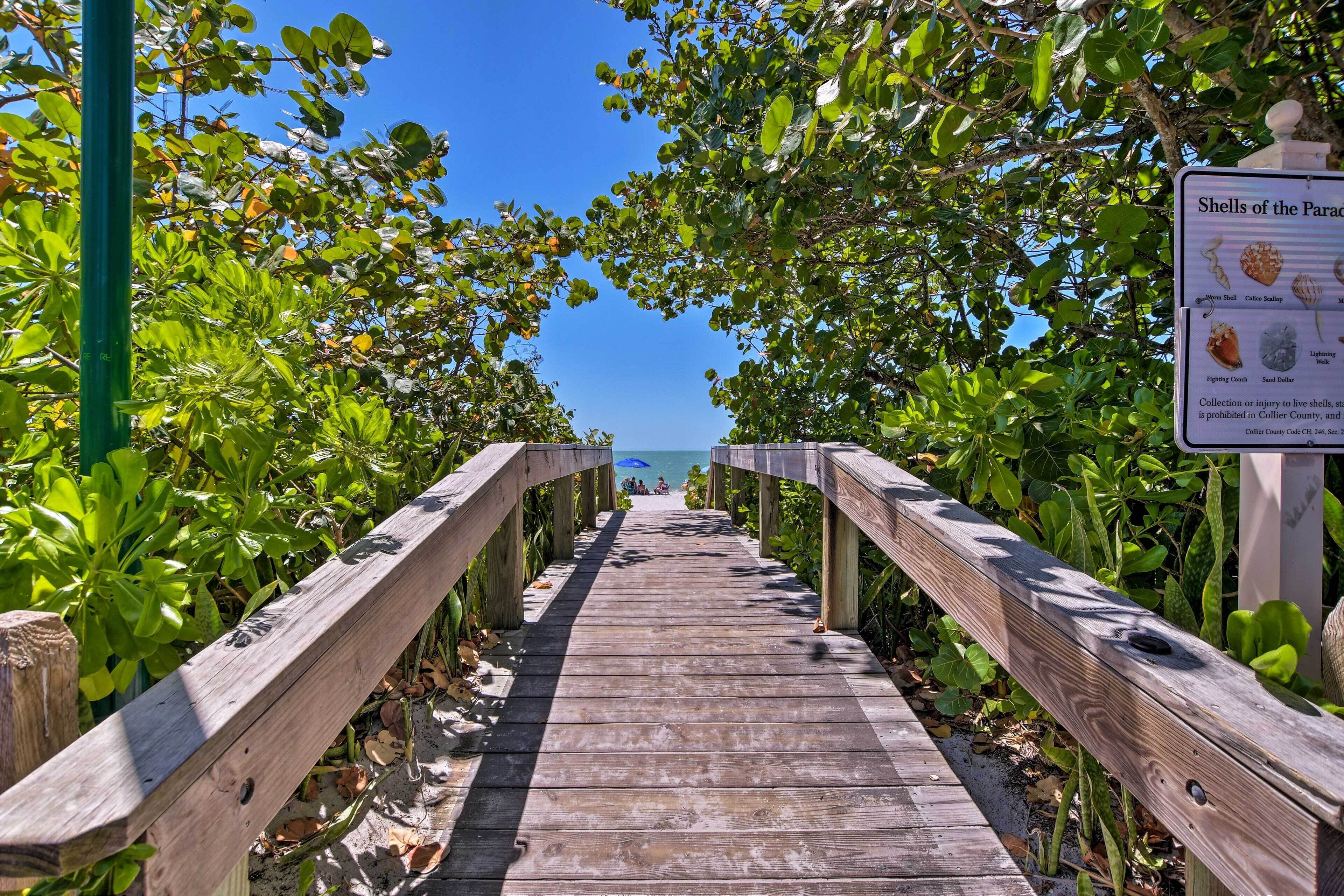 A wooden boardwalk leading to a beach, surrounded by lush greenery and a sign about shells.