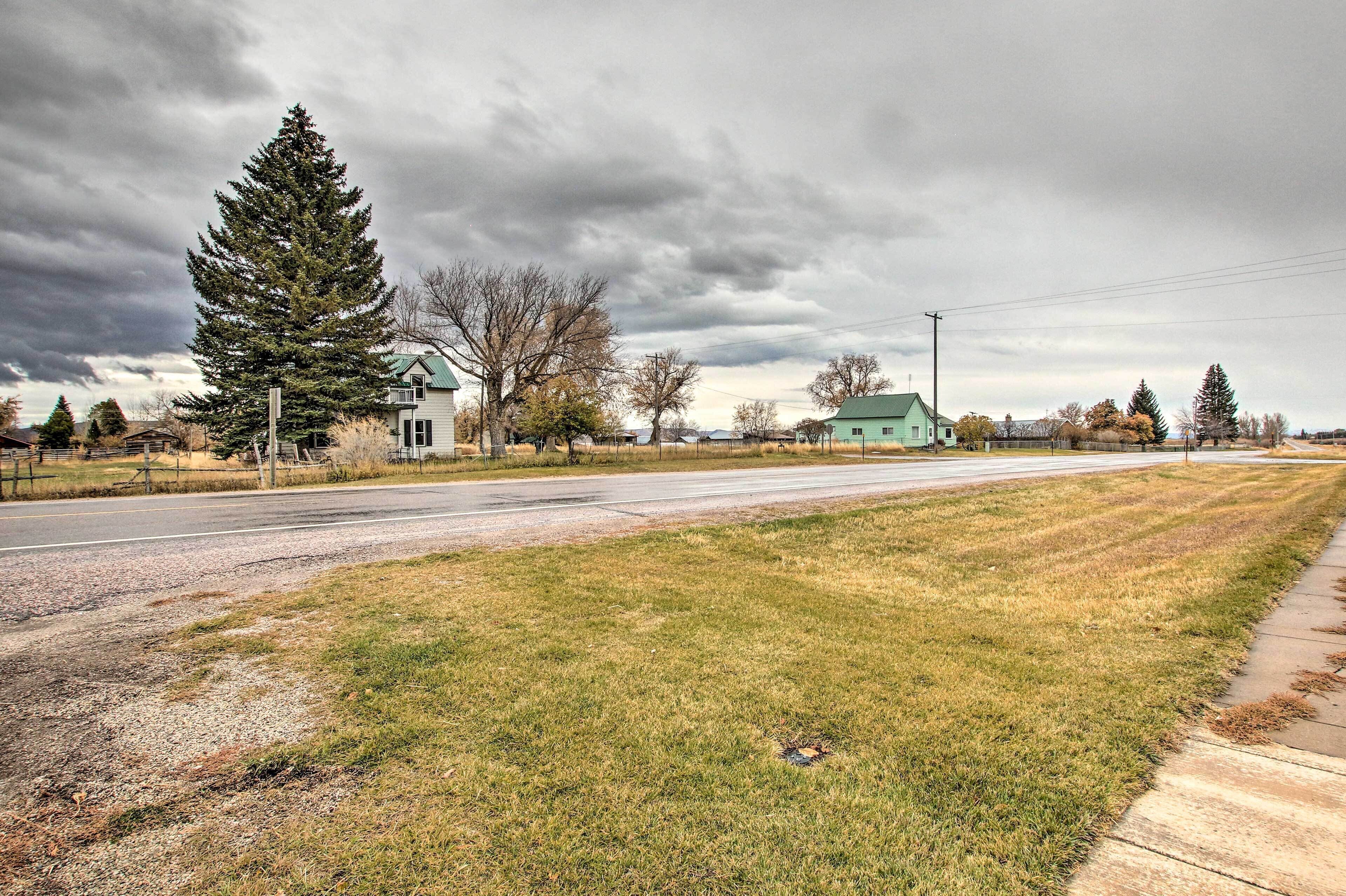 A residential area with a road, houses, and a large evergreen tree.